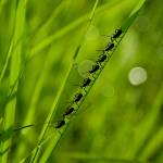 Jayson Lang Profile Picture