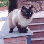 Fanny Blick Profile Picture
