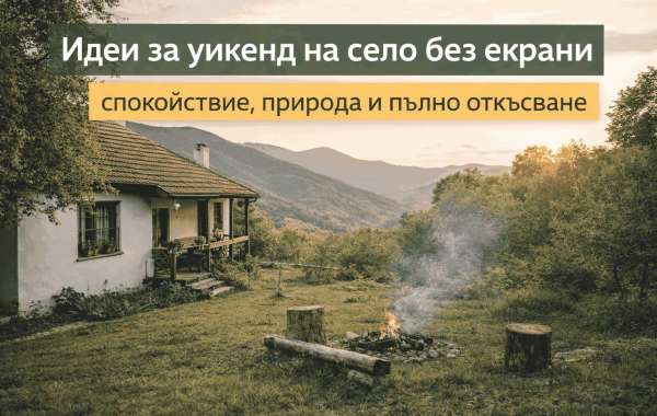 Article Picture